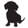 Doxiepop Icon