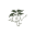 Cliffavegreenhouse Icon