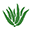 Aloe Up Icon