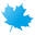 Maple Icon