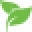 Seedingsquare Icon