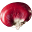 Seedthemovie Icon