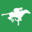 Country Racing Icon