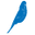 Budgy Smuggler Icon