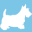 Accessoires-chiens.com Icon