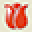 Netherland Bulb Company Icon