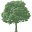Sevierparkfest Icon