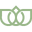 Nzhealthfood Icon