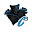 Carolinacatchronicles Icon