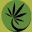 Latopicals Icon