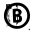 Piecesofberlin Icon