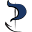 Pierpress Icon
