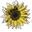 Justseed Icon