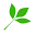 Tipsnleaves Icon