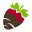 Sharisberries Icon