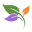 The Hammock Company Icon