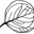 Eucalypthomewares Icon