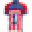 Worldjerseys Icon