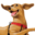 Sporn Icon