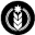Nattygreenes Icon