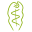 Weleda Icon