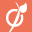 Viadeo Icon