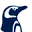 Australis Icon