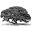 Shelterpub Icon