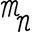 Theminnesotanicecompany Icon
