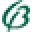 K. Van Bourgondien Icon