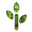 Wearwood Icon