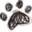Pamsdogtraining Icon