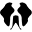 Uncharted Supply Co. Icon