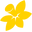 Cancer Council Icon