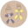 Ollieanddollie Icon