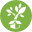 Theplantingtree Icon
