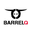 Barrelq Icon