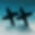 Tmrwtday Icon
