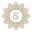 Thenewnaples Icon