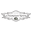 Championcue Icon