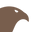 Boy Scout Store Icon