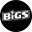 BIGS Icon