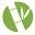Forever Bamboo Icon