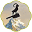 Charcutnuvo Icon