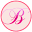 Bausladies Icon
