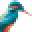 Kingfisher BP Icon