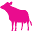 Thepinkcowbrand Icon