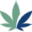 Bcbudexpress Icon