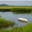 The Marsh Icon