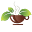 Greenteahouse Icon